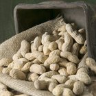Do You Soak Raw Peanuts in Water Before You Cook Them?