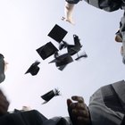 ¿Cuáles son los distintos niveles de títulos universitarios?