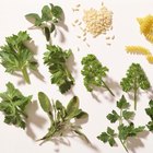 What to Use in Place of Italian Seasoning