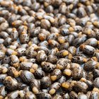 What Are the Uses of Castor Oil for the Face & Hair?
