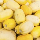Grilled Spaghetti Squash