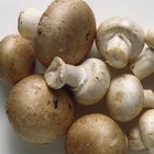 How to Fry Some Button Mushrooms