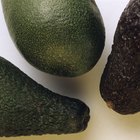 How Can I Soften an Avocado?