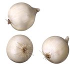How to Chop Scallions
