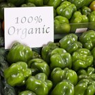 Healthy Organic Meal Plans