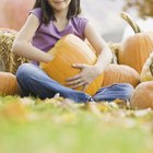 Facts About Pumpkins for Kids