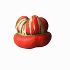 How to Cook a Turban Squash