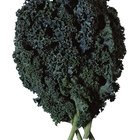 Calcium-Rich Foods for Juicing