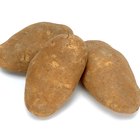 Potato Jewelry Process