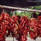 Dehydrated Vegetables Cooking Tips