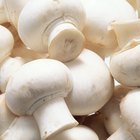 How to Cook Breaded Mushrooms in the Oven
