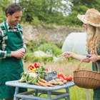 The Best Healthy Foods on a Budget