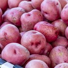 Nutrition Data on Boiled Red Potatoes