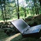 El avance tecnológico y su efecto sobre el ecosistema