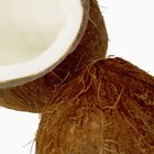 Shredded Coconut Substitute