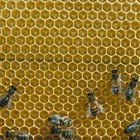 How to Make Beeswax Face Cream