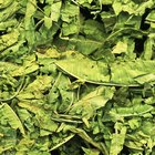 How to Revive Wilted Herbs