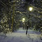 How to Host a Chronicles of Narnia Kids Party