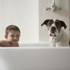 can you use baking soda to brush dogs teeth