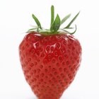 Strawberries & Acne