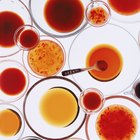 How to Use Xanthan Gum as a Thickener