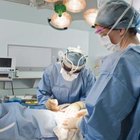 How to Become a First Assistant Certified Surgical Tech | Woman - The Nest