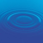 Proyecto de feria de ciencias sobre qué limpia mejor el agua: arena u hojas sucias
