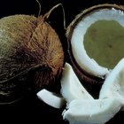 What Are the Health Benefits and Side Effects of Organic Extra Virgin Coconut Oil?