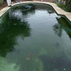 How much does it cost to remove a swimming pool?