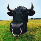 Cómo hacer una cabeza de toro de papel maché