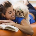 How Does the Cycle of a Female Dog Work When She Can ...