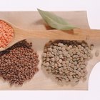 What Do You Season Lentils With?