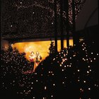 Top Christmas Date Ideas for Couples Near Los Angeles