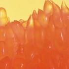 Grapefruit Seed Extract for Seborrheic Dermatitis