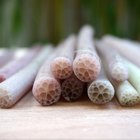 Benefits of Lotus Stem