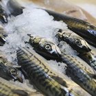 The Nutritional Value of Norwegian Mackerel