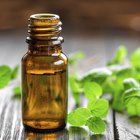 Side Effects of Enteric Coated Peppermint Oil