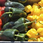 How to Roast Poblano Peppers