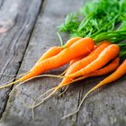 What Is the Difference Between Roughage & Fiber?