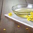 What is Rapeseed Oil?