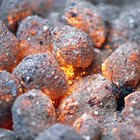 How to Cook Quail on a Grill