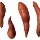 Crock-Pot Meals With Yams