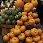 Differences in Pureed & Canned Pumpkin