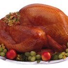 Is Ground Turkey Bad for Dogs? | Dog Care - Daily Puppy