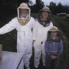 ¿Cómo puedo hacer ropa para apicultura?