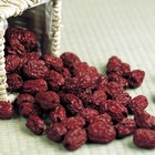 Dried Dates Fruit Facts