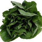 How to Wilt Spinach