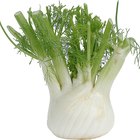 What Can I Do With Fennel Stalks?