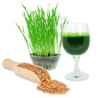The Disadvantages of Juicing