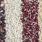 How to Make the Best Great Northern Bean Soup